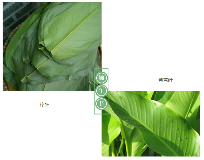 hth华体会官网医纺