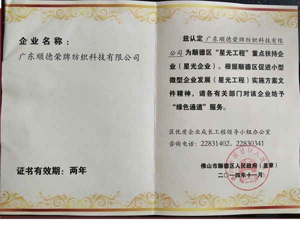 hth华体会官网荣获政府重点扶持企业